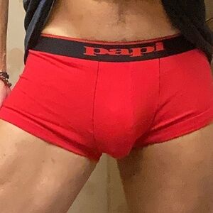 Papi, red and black medium trunks